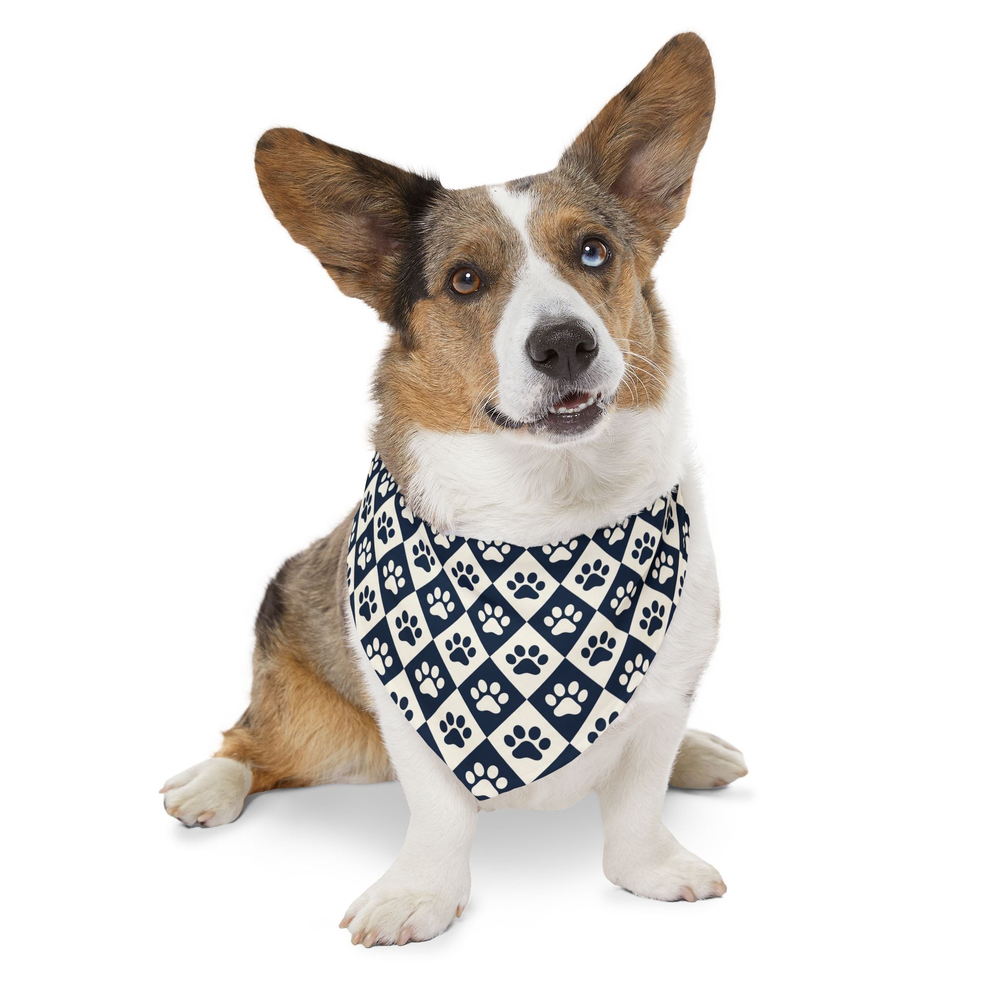 The Proud Paws Cap & Bandana Set | 2 Matchy Mutts